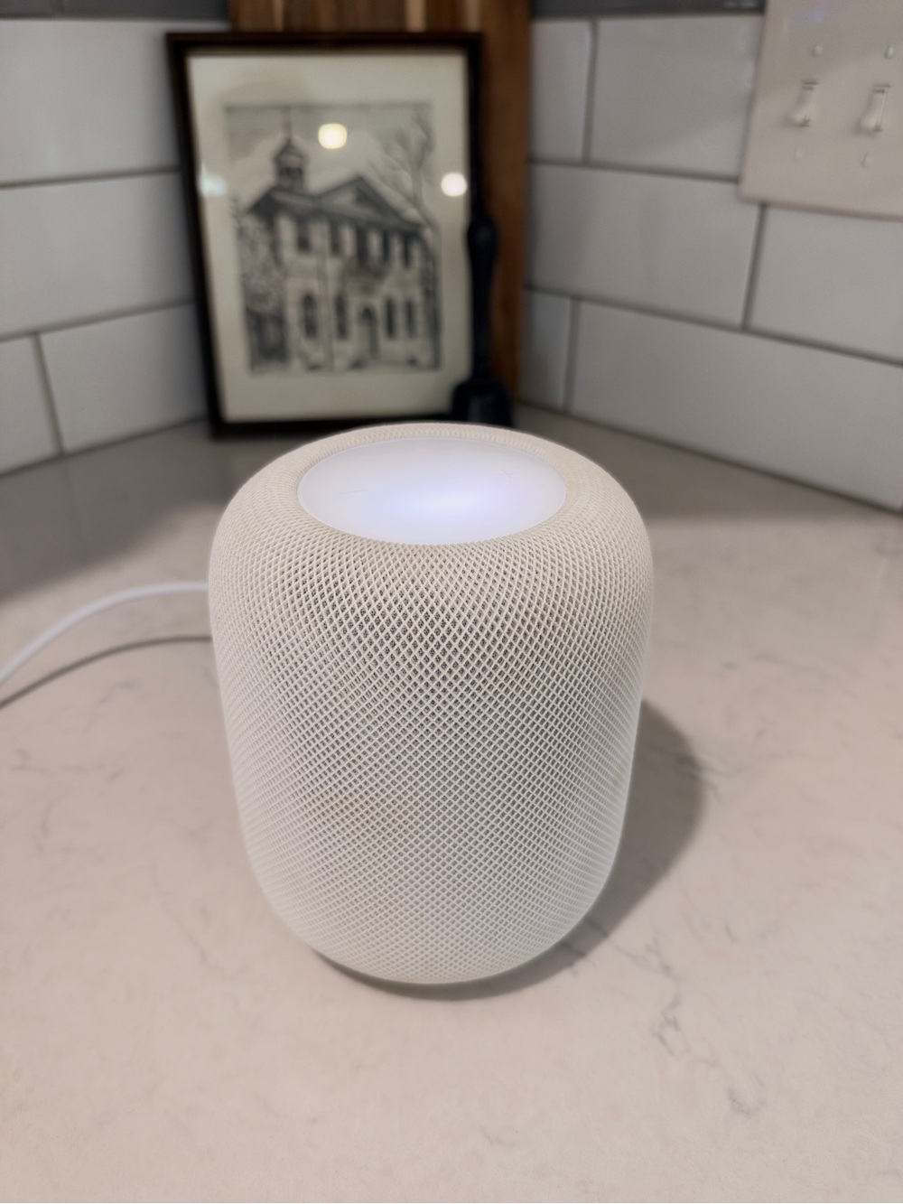 Apple White Mesh Smart Speaker